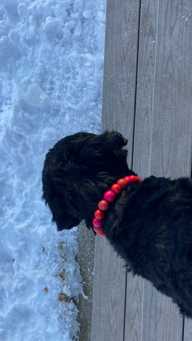 Ruby's Sweetheart Collar